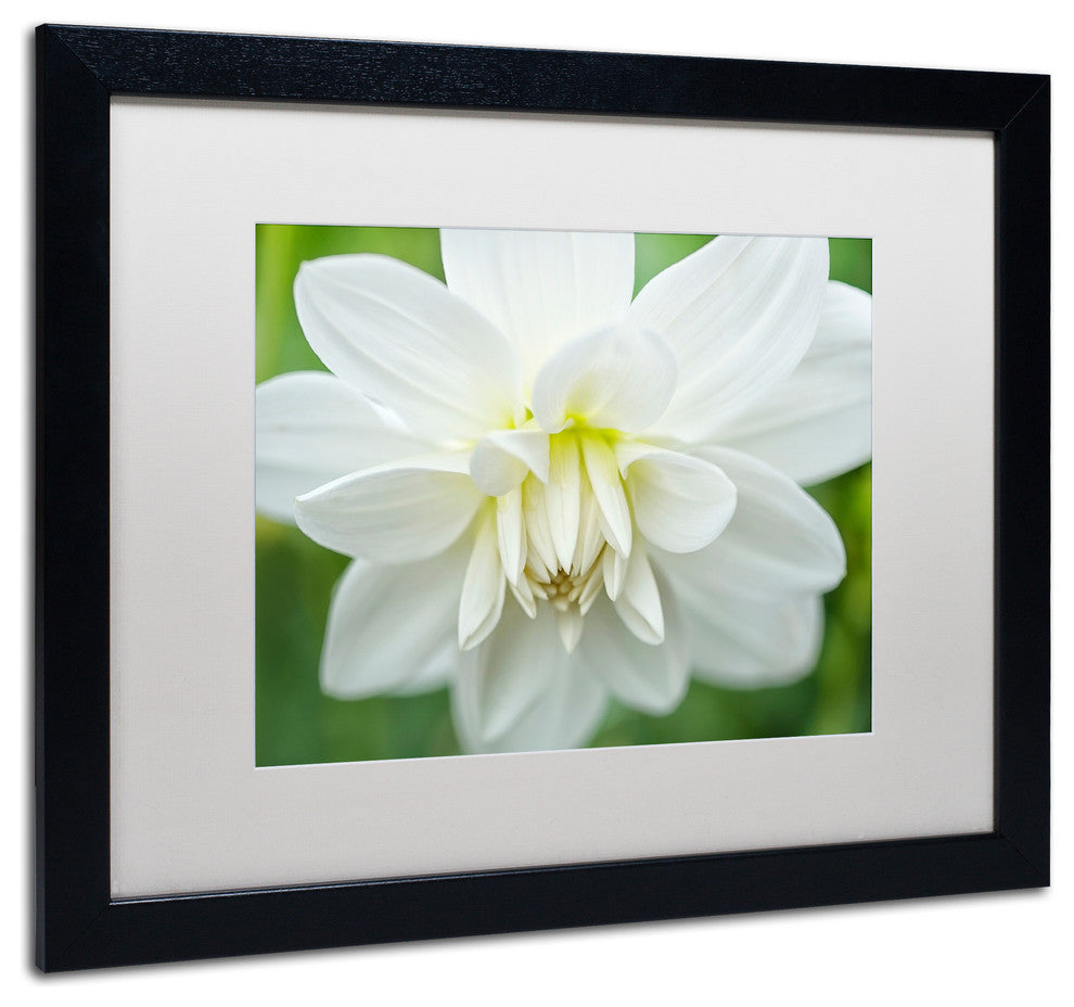 Cora Niele ''White Dahlia'' Matted Framed Art