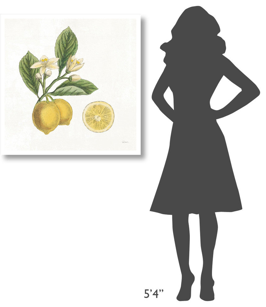 "Classic Citrus I" Digital Paper Print by Sue Schlabach, 32"x32"