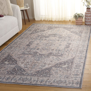 Safavieh Arizona Machine-Washable Collection ARZ249 Rug, Beige/Grey, 3'x5'