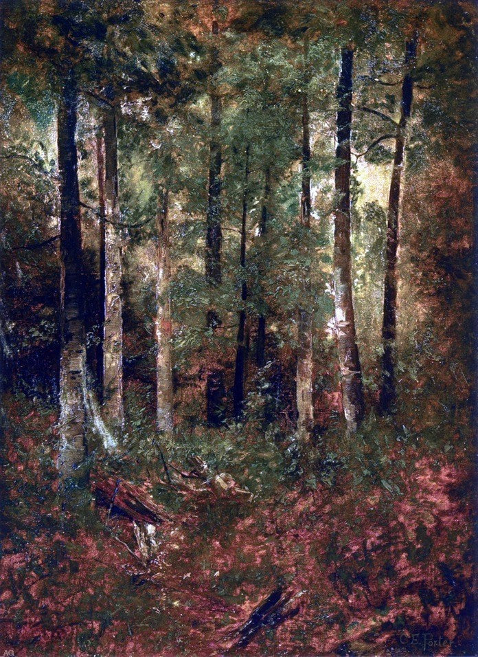 Charles Ethan Porter a Forest Scene Premium Canvas Print
