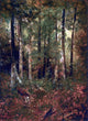 Charles Ethan Porter a Forest Scene Premium Canvas Print