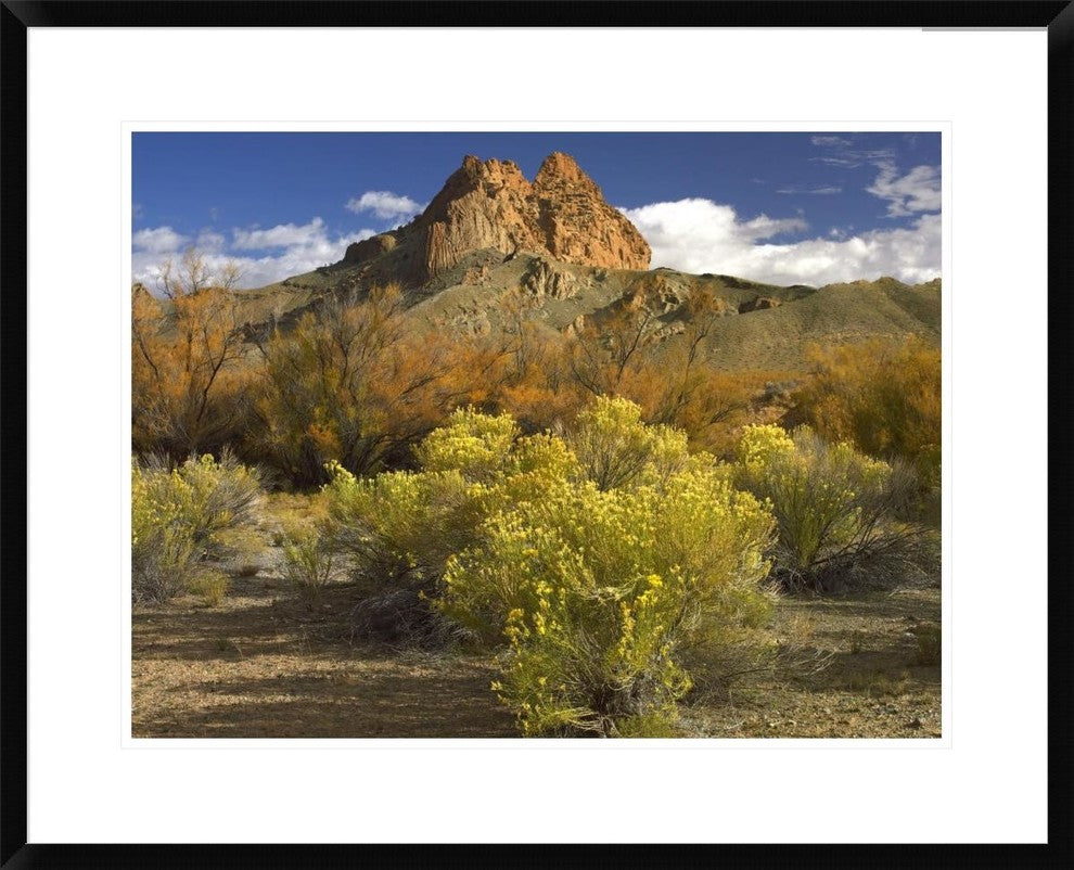 "Mitten Rock, New Mexico" Framed Digital Print by Tim Fitzharris, 32x26"