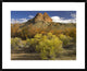 "Mitten Rock, New Mexico" Framed Digital Print by Tim Fitzharris, 32x26"