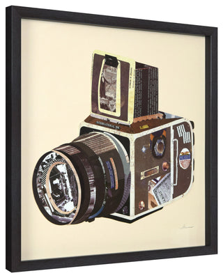 "SLR Camera" Hand Made Dimensional Collage Framed Wall Art Under Glass