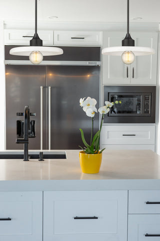 Zlite 820P14-MB 1-Light Pendant, Gloss Opal