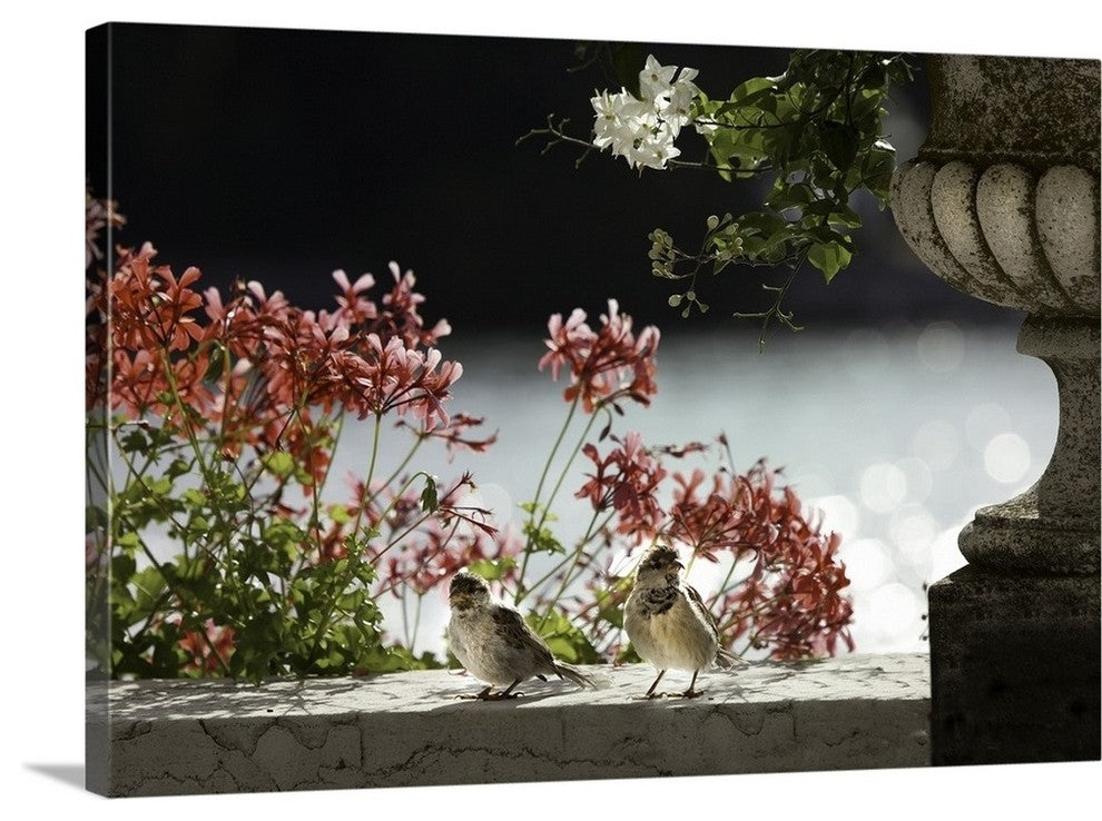 "Breakfast on the Grand Canal" Wrapped Canvas Art Print, 24"x16"x1.5"
