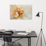 Eye of Peony Floral Nature Photography Canvas Wall Art Print, 24" X 36"
