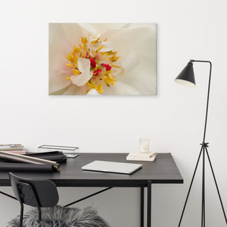 Eye of Peony Floral Nature Photography Canvas Wall Art Print, 24" X 36"