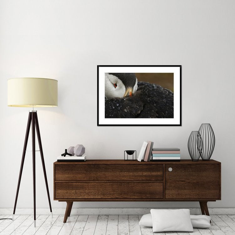 "Goretex" Framed Digital Print by Mario Suarez, 44x32"