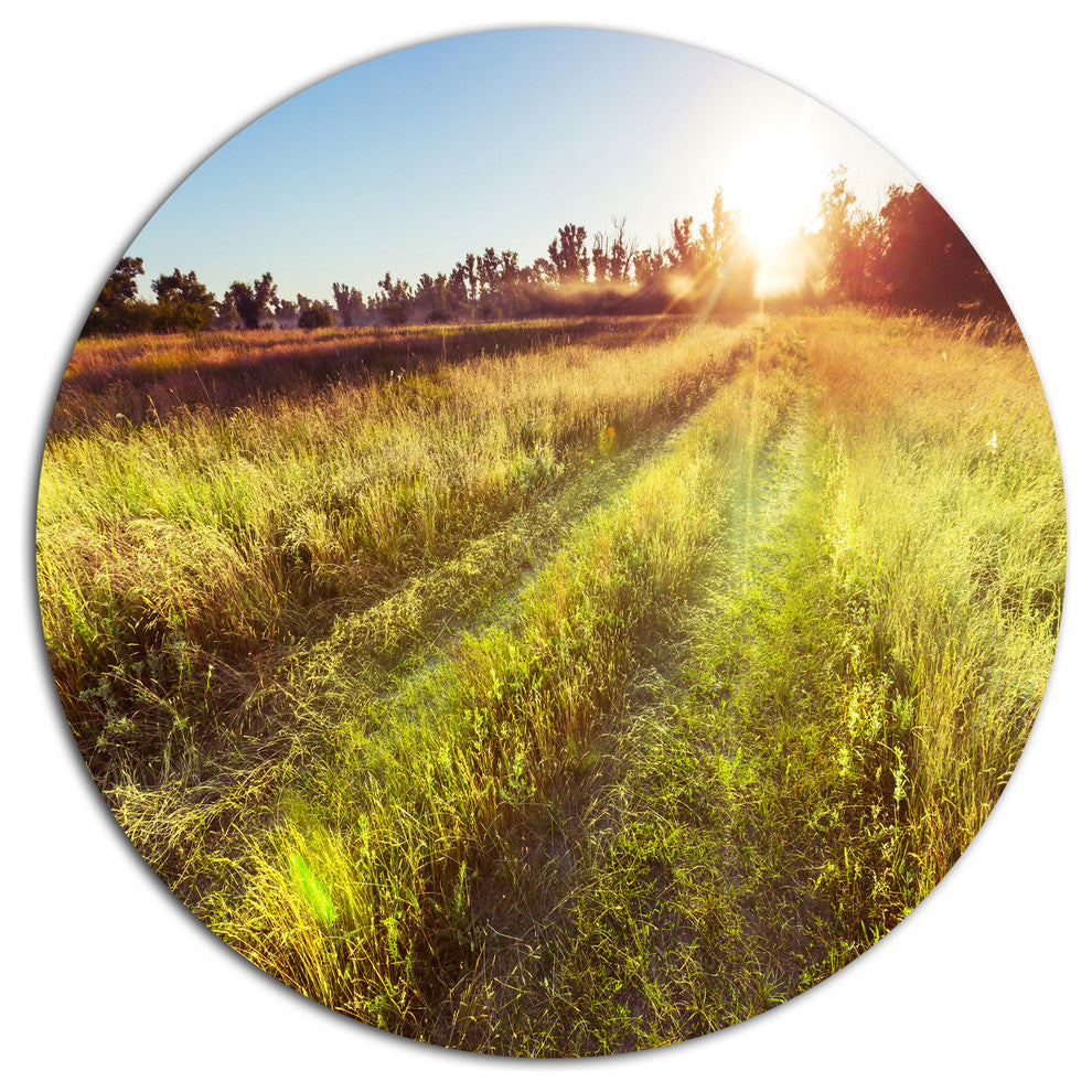 Farm Road In Rural Meadow, Landscape Large Disc Metal Wall Art, 23"