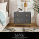 Nicole Miller Aharon Side Table, 2 Drawers, Faux Shagreen, Gray/Gold