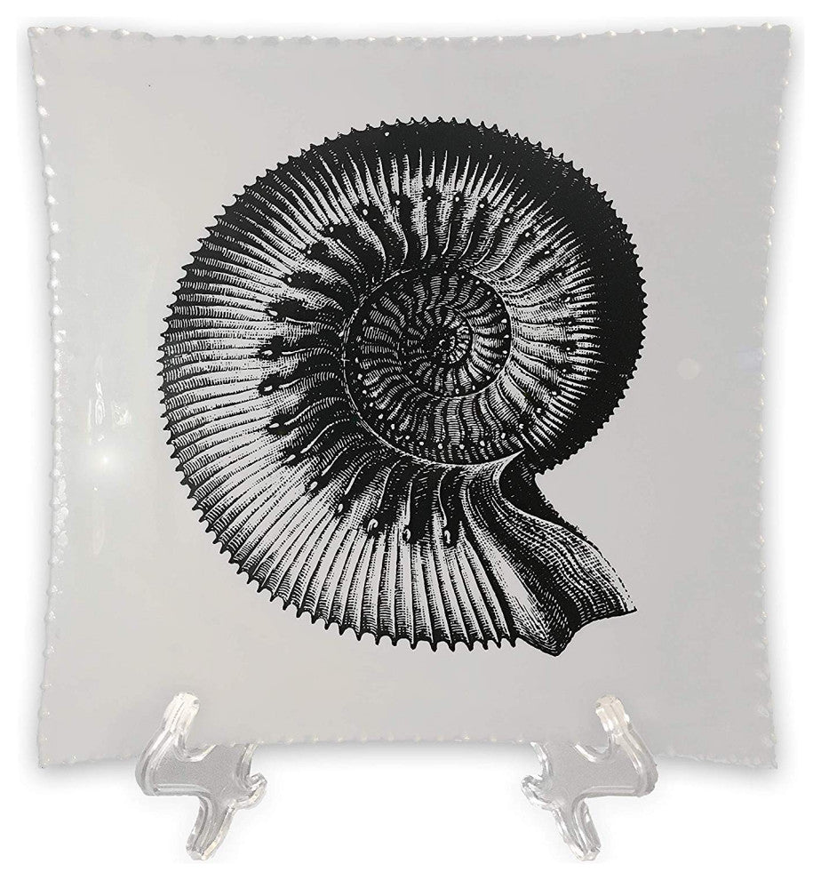 Decorative Tray with Display Stand with Nautilus Shell in Black & White, Medium