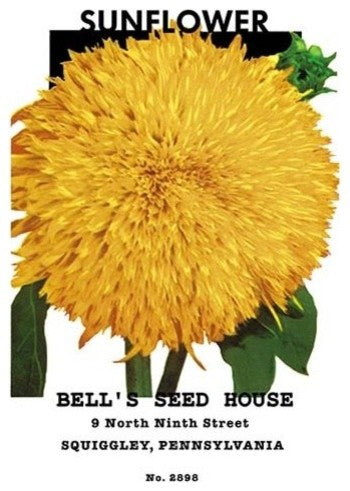 Sunflower- Canvas Poster 20" x 30"