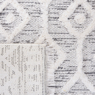 Safavieh Augustine Collection, AGT756 Rug