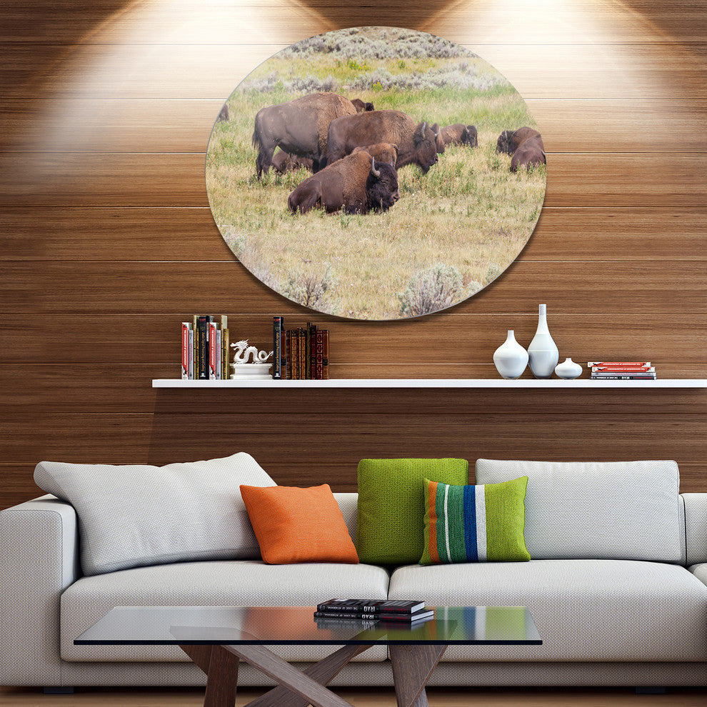 Grazing Gang Of Buffalos, Animal Round Wall Art, 11"