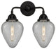 Innovations Lighting 288-2W-BK-G165 Geneseo 2 Light 14.5" Bath Vanity Light