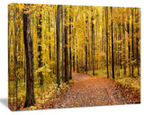 Bright Autumn Forest Panorama, Modern Forest Canvas Art, 20"x12"