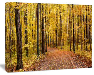 Bright Autumn Forest Panorama, Modern Forest Canvas Art, 20"x12"