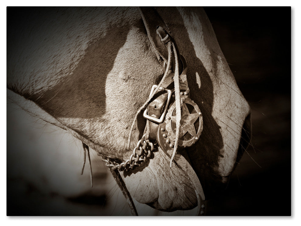 Dan Ballard 'Colorado' Canvas Art, 32"x24"