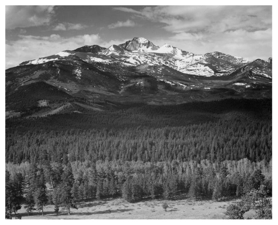 "Trees, snow covered mountain, Rocky Mountain NP, 1941-1942" Paper Art, 18"x15"