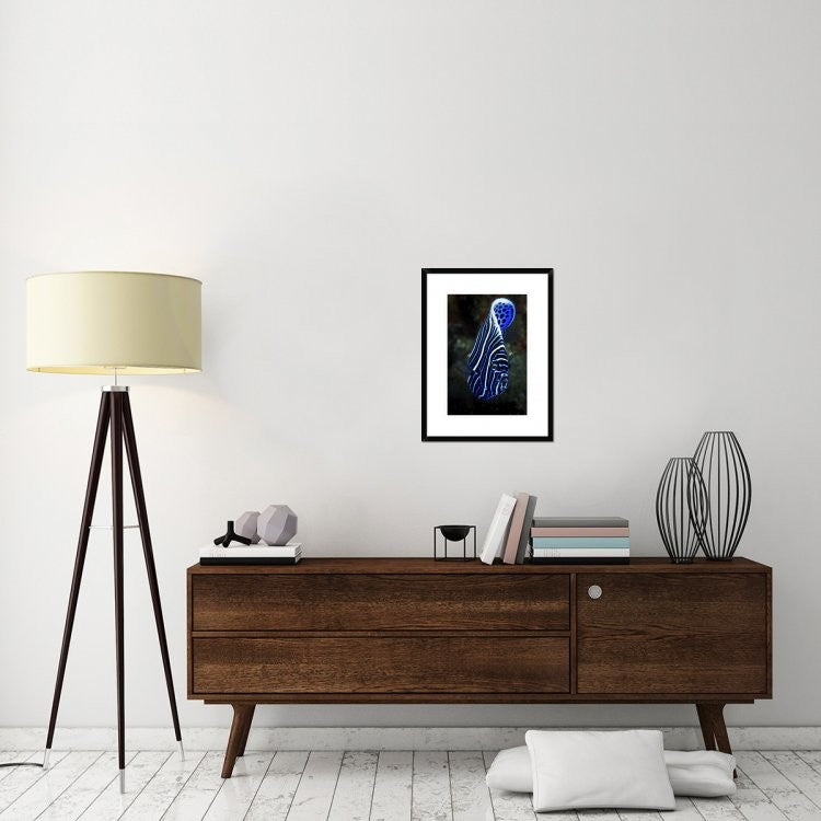 "Emperor Angelfish" Framed Digital Print by Barathieu Gabriel, 20"x26"