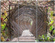 "Bamboo Tunnel in the Garden" Metal Wall Art, 3 Panels, 36"x28"