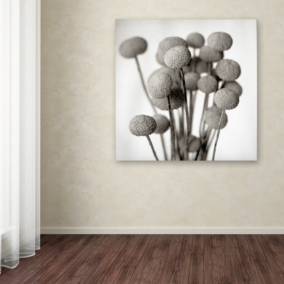 Alan Blaustein ''Florison 33'' Canvas Art, 18x18