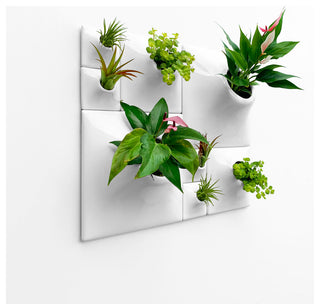Modern Wall Planter Set, Node Living Wall, Ceramic, BS2, White