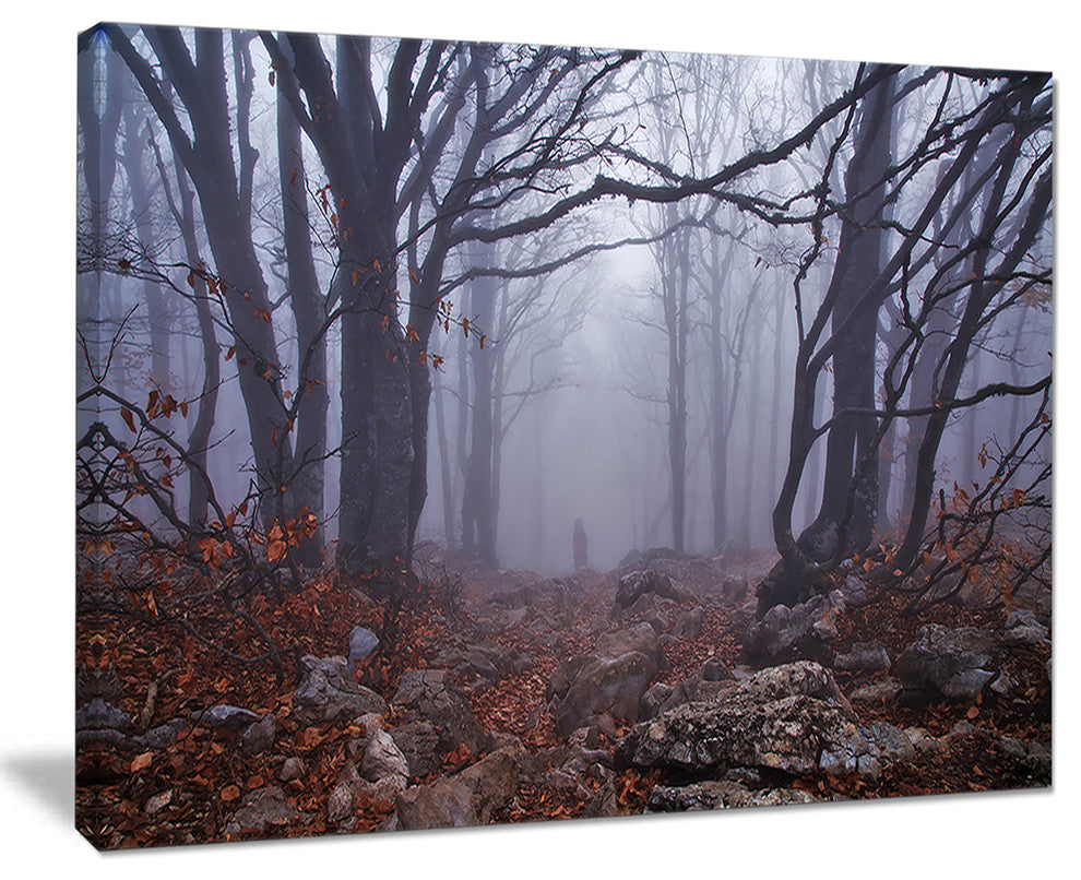 "Dark Foggy Forest in Autumn" Landscape Canvas Photo Print, 40"x30"