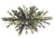 24" Mixed Country Pine Swag 38Tips