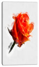 Red Rose Drawing with Watercolor, Floral Canvas Art Print, 16"x32"