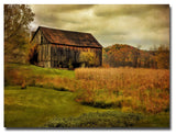 'Old Barn on Rainy Day' Canvas Art by Lois Bryan