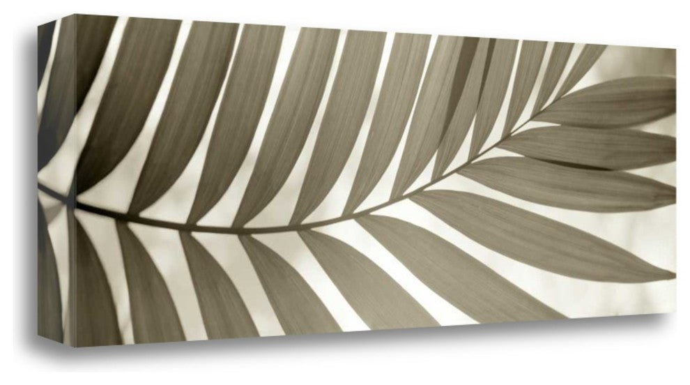 "Florison - 98" By Alan Blaustein, Giclee Print on Gallery Wrap Canvas