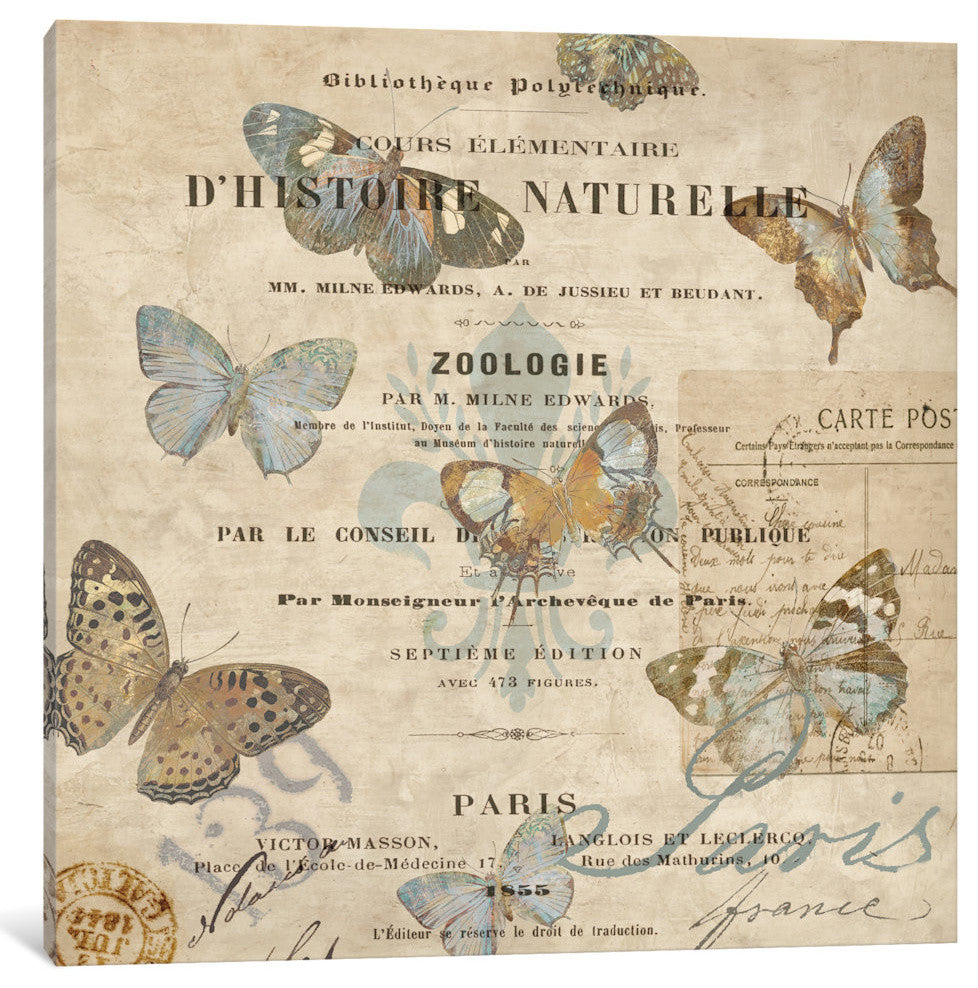 "Papillon II" by Deborah Devellier, Canvas Print, 12"x12"