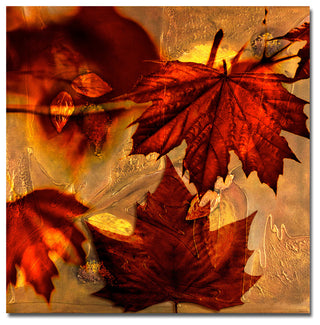 Fall Flowers Canvas Wall Art