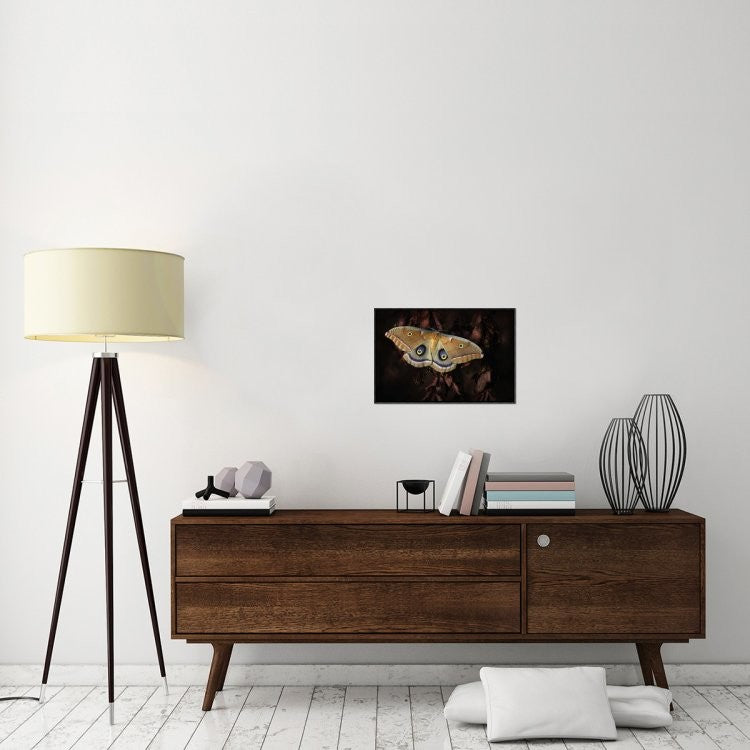 "Polyphemus" Framed Canvas Giclee by Jimmy Hoffman, 23x16"