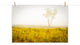 Dreams of Goldenrod and Fog Landscape Photo Unframed Wall Art Print, 24" X 36"
