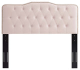 Sophia Tufted Performance Velvet Twin Headboard Pink