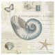 "Beach Wonders III" Digital Paper Print by Katie Pertiet, 26"x26"