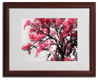 'Glowing Tones' Matted Framed Canvas Art by Philippe Sainte-Laudy