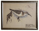 Two Sandpipers, Silver Frame