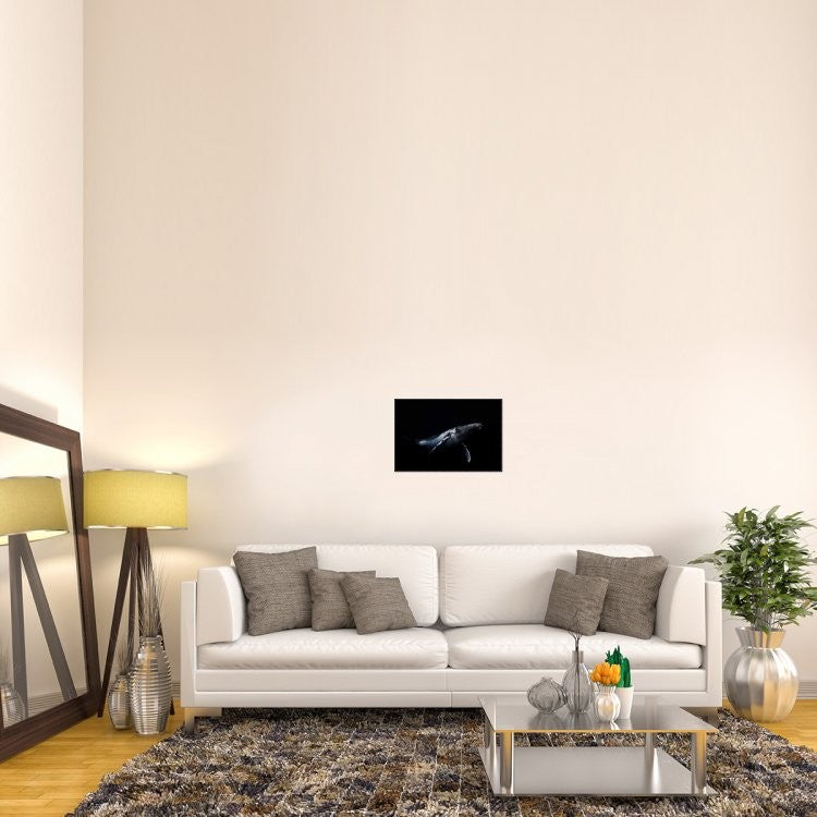 "Black and Whale" Framed Canvas Giclee by Barathieu Gabriel, 23x16"