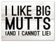 I Like Big Mutts 30x40 Canvas Wall Art