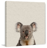 "Playful Koala" Painting Print, Wrapped Canvas, 40"x40"