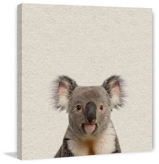"Playful Koala" Painting Print, Wrapped Canvas, 40"x40"