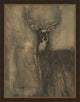 Woodland Deer, Giclee Reproduction Artwork