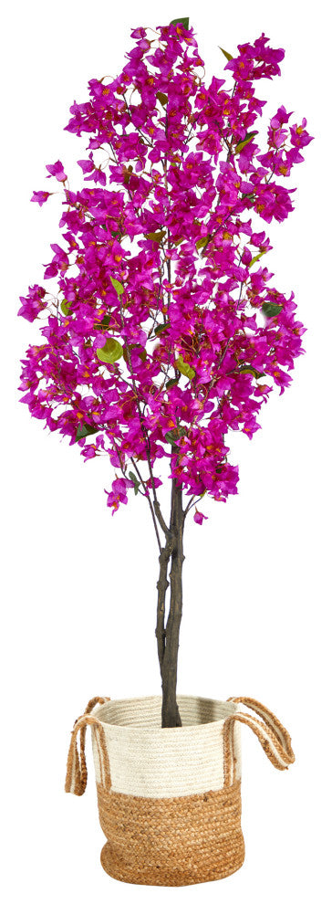 Front-facing product shot on a white background showing the full bougainvillea tree in a basket.