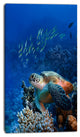Large Sea Turtle underwater, Abstract Canvas Art Print, 16"x32"