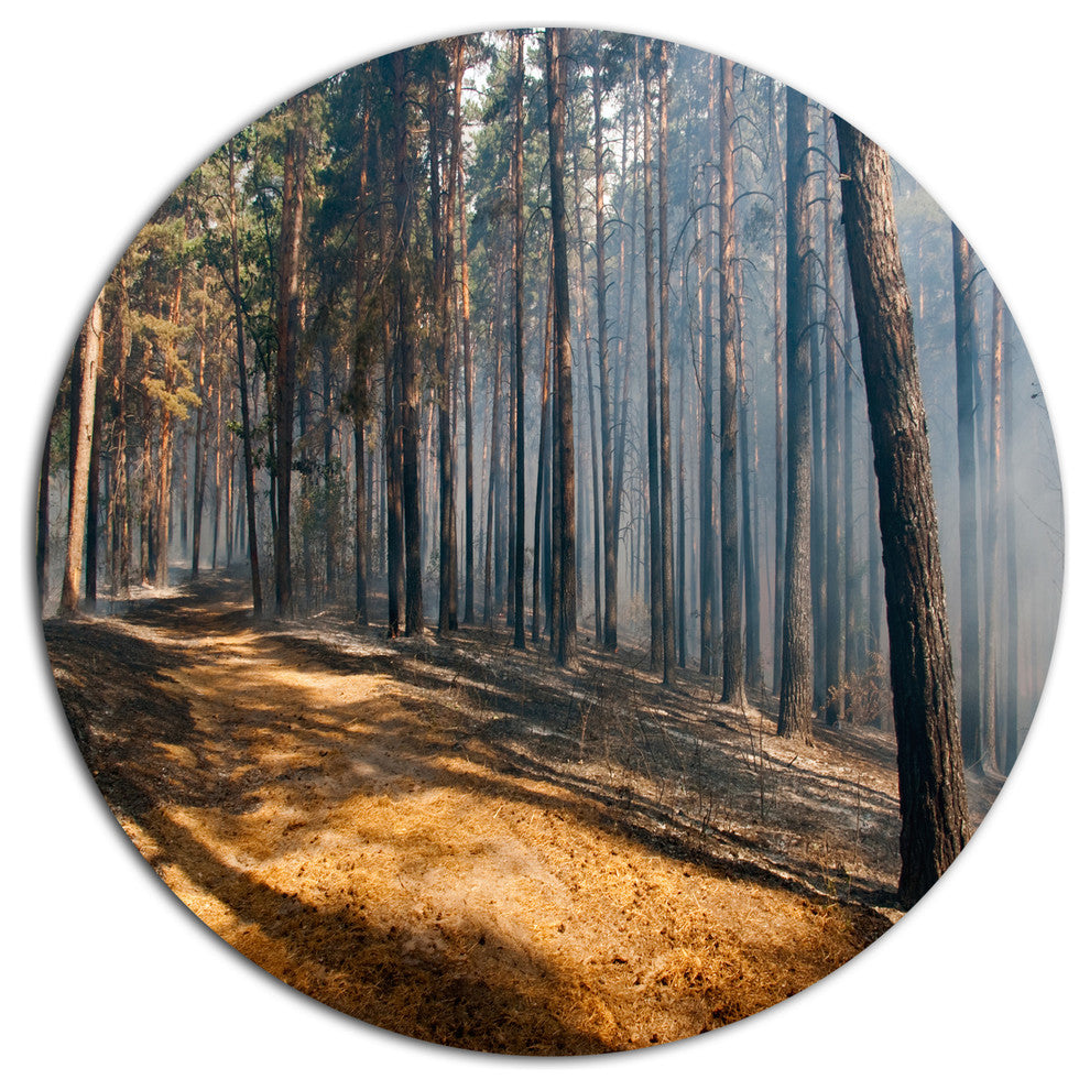 Fire In Forest With Flame And Smoke, Modern Forest Round Wall Art, 36"