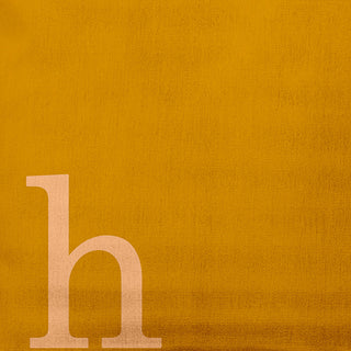 20" x 20" Modern Monogram Indoor/Outdoor Polyester Throw Pillow, Autumn Gold